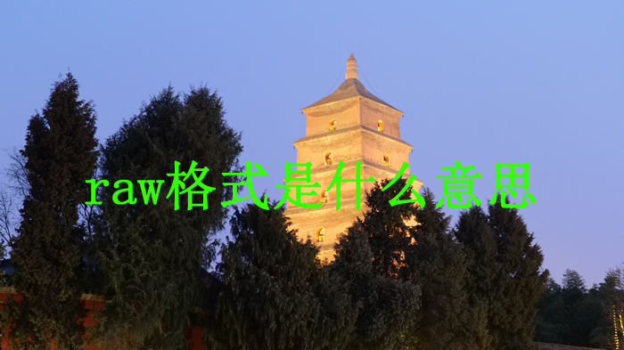 網(wǎng)頁設(shè)計raw格式圖片能用嗎?raw是什么格式?